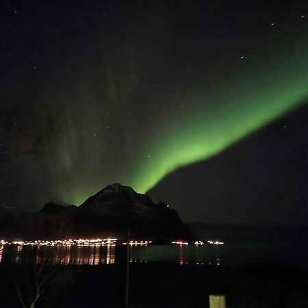 Nappstraumen Seaview Holiday Home Haug Exteriör bild